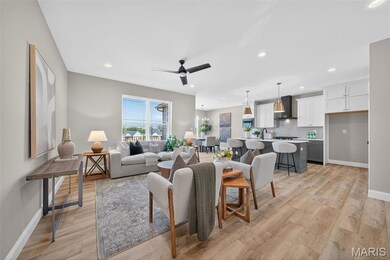 41 Pheasant Ring Dr, Saint Peters, MO 63376 - photo 2