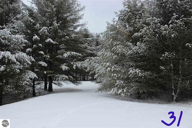 2249 Fox Run, West Branch Township, MI 48661 - photo 6