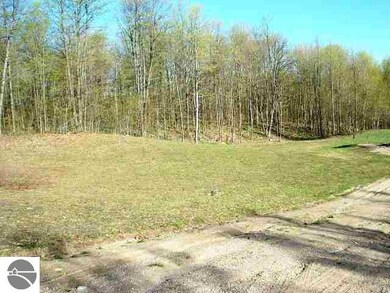 Huffman Lake Rd, Vanderbilt, MI 49795 - photo 3