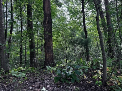 16 Rice Corner Rd, Brookfield, MA 01506 - photo 5