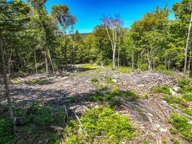 Lot 39 Sawyer Notch Rd, Andover, ME 04216 - photo 5