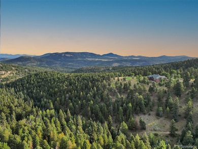 26271 Richmond Hill Rd, Conifer, CO 80433 - photo 4