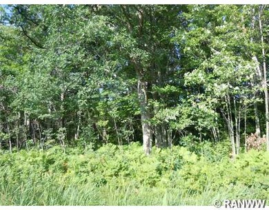 0 Hwy 35 unit 855774, Webster, WI 54893 - photo 4