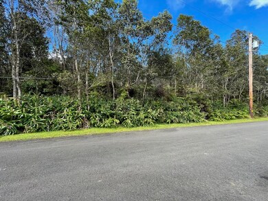 0 First St unit 725813, Volcano, HI 96785 - photo 4