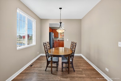 410 Brookhaven Trail, Pingree Grove, IL 60140 - photo 5