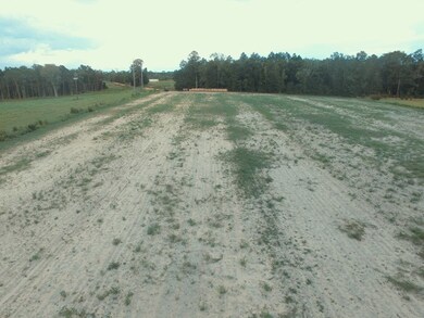 00 Earl Day Rd unit n/a, Ambrose, GA 31512 - photo 3