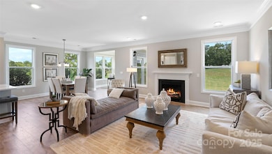 7203 Butternut Oak Terrace, Huntersville, NC 28078 - photo 5