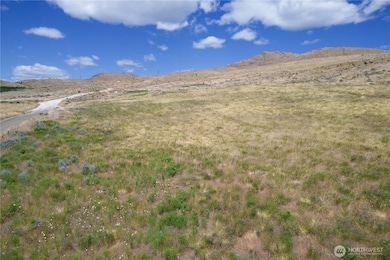 0 Nna Bill Shaw Rd unit NWM2458040, Pateros, WA 98846 - photo 4