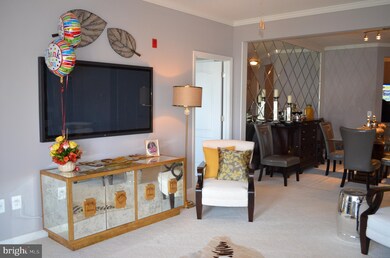 43138 Stillwater Terrace unit 202, Broadlands, VA 20148 - photo 7