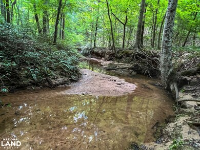 00 N Hwy 150, Pacolet, SC 29372 - photo 4