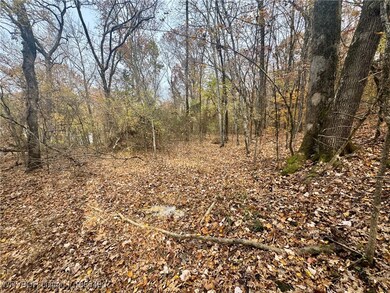 01 Arkansas 96, Cecil, AR 72930 - photo 5