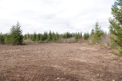 15814 Boise Ln SE, Yelm, WA 98597 - photo 7