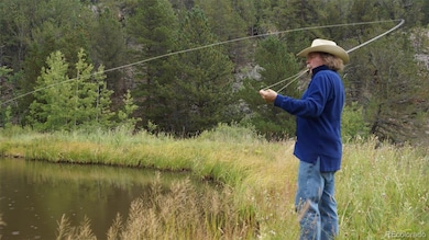 50 Rudolph Ranch Rd, Black Hawk, CO 80422 - photo 5