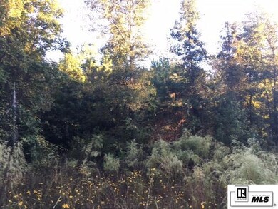 238 Garner Rd, Jonesboro, LA 71251 - photo 5