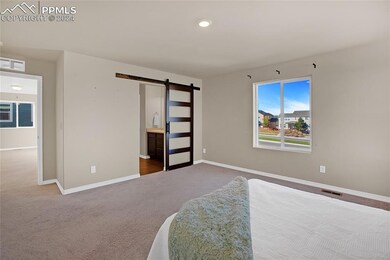 Primary Bedroom with Barn Door into Bathroom