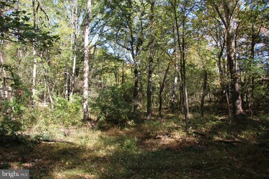 0 Sadlick Lot I Rd, Strasburg, VA 22657 - photo 5