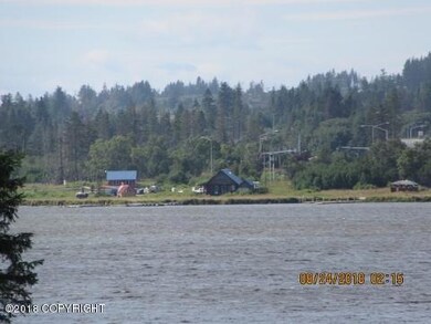 IMG_2887 (480x360)