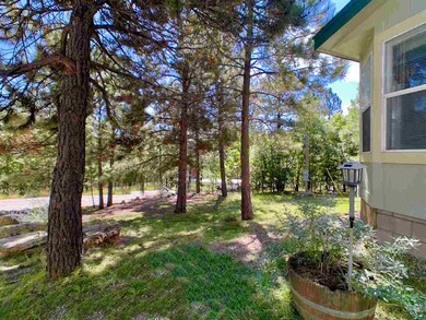 17 Lariat Rd unit 2, Mayhill, NM 88339 - photo 5