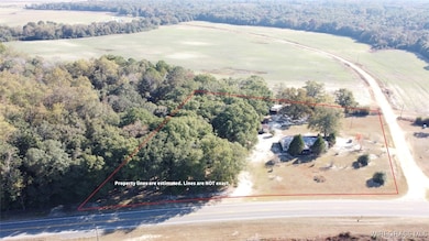 1385 Alabama 54, Kinston, AL 36453 - photo 2