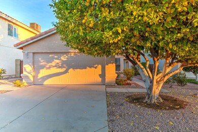 3220 E Poinsettia Dr-2