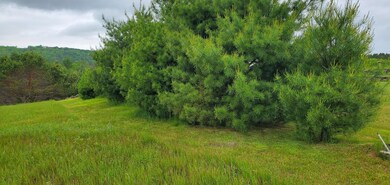 160 Bear Ridge Rd unit 2, Burke, VT 05871 - photo 4