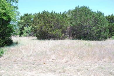 4073 Whitecrest Dr, Whitney, TX 76692 - photo 5