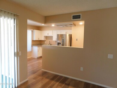 9506 W Appaloosa Dr, Sun City, AZ 85373 - photo 6