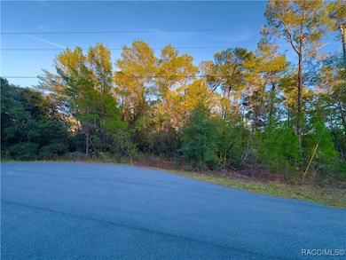 7741 N Oasis Point, Citrus Springs, FL 34433 - photo 2