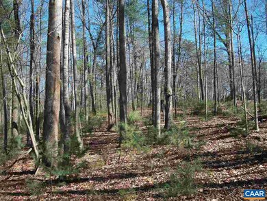 62 Buck Mountain Rd, Earlysville, VA 22936 - photo 7