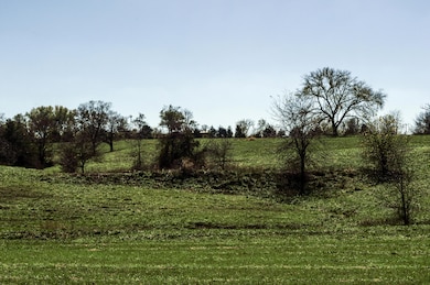 DSC_0003 (1)