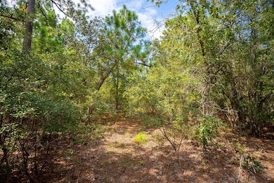 000 Fire Tower Rd, Aiken, SC 29803 - photo 6