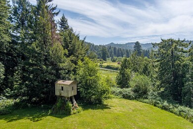 Stump House
