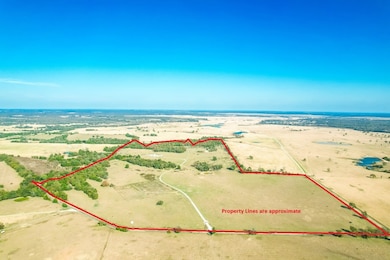 0000 Cr 781, Donie, TX 75838 - photo 2