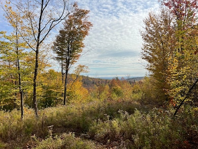 2E Mountain View Dr, Temple, ME 04984 - photo 4