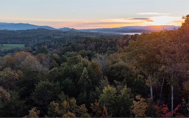 1507 My Mountain Rd, Morganton, GA 30560 - photo 3