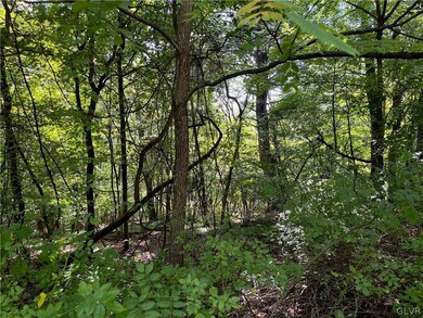 0 68 & 70 Evergreen Dr unit 701184, Schuylkill, PA 18252 - photo 4