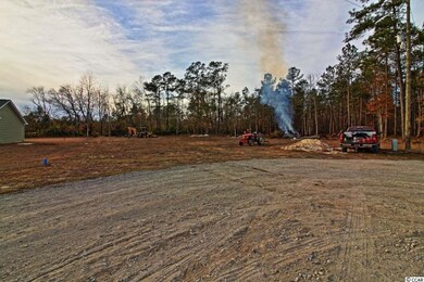 125 Brian Oaks Trail unit Brian Oaks Lot  7, Conway, SC 29527 - photo 4