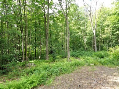 121 Paradise Ln, Sturbridge, MA 01518 - photo 3