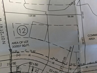 0 Bergstrom Dr, Kaleva, MI 49645 - photo 4