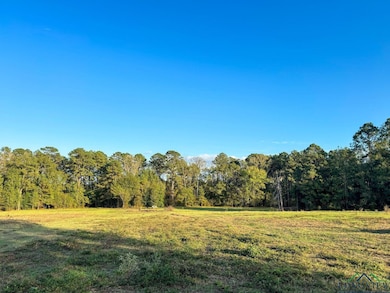 View of local wilderness