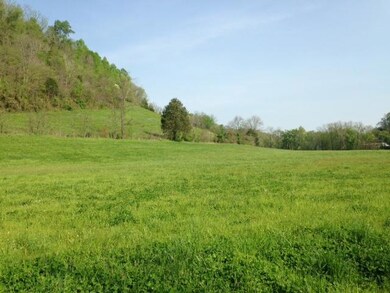 Another view of the level land 