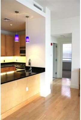 Lincoln Plaza II unit L619, Boston, MA 02111 - photo 5