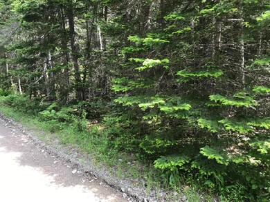 IMG-1146