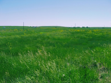 0 Gobbler Ln unit Lot 56 Gobbler Ln. R, Smithwick, SD 57782 - photo 2