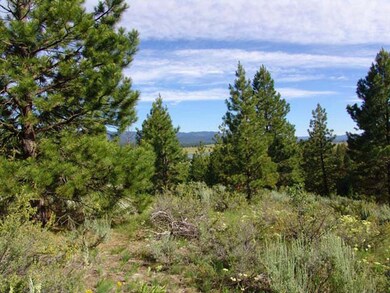 Nicely Wooded