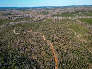 0 Rd, Lumpkin, GA 31815 - photo 3