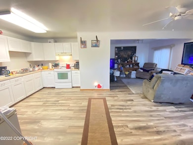 Livingroom and Kitchen