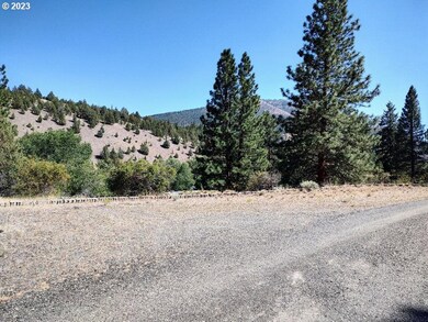 226 Scenic Dr, Canyon City, OR 97820 - photo 6