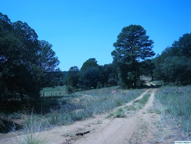 XX Linda Dr, Silver City, NM 88061 - photo 7