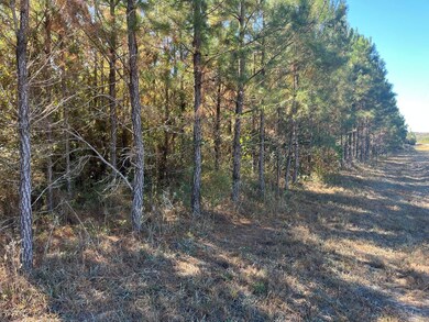 Henry Co Rd 46, Shorterville, AL 36373 - photo 6